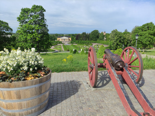 cannon
